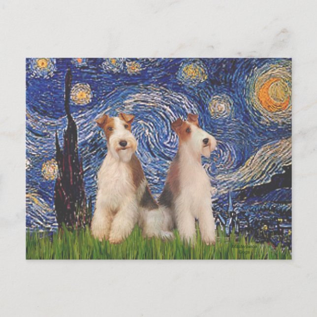 Cartão Postal Starry Night - Dois Terriers de Fox com Fio (Frente)