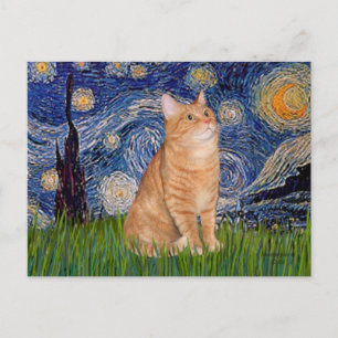 Cartão Postal Starry Night - Orange Tabby 46