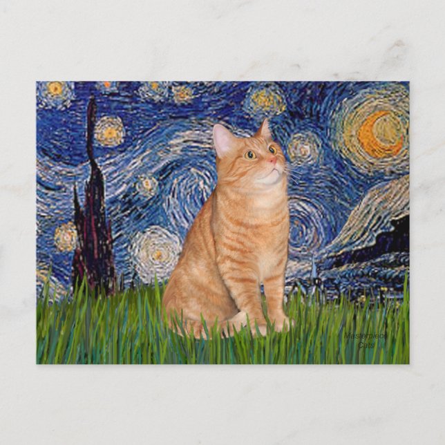 Cartão Postal Starry Night - Orange Tabby 46 (Frente)