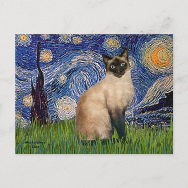 Cartão Postal Starry Night - Seal Point Gato Siamês (Frente)