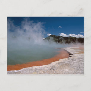 Cartão Postal Steam rising from Champagne Pool at WAI-O-TAPU