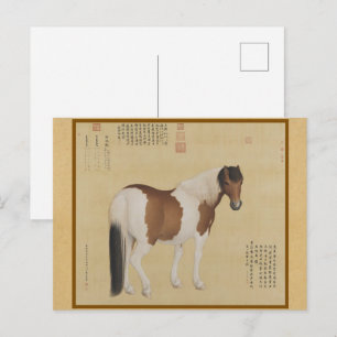 Cartão Postal Steed - Um Cavalo Chamado Nieyunshi China Fine Art