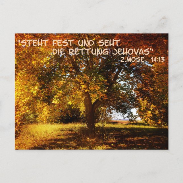 Cartão Postal Steht fest und seht die Rettung (Frente)