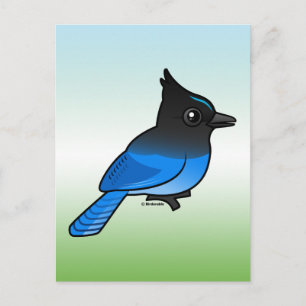 Cartão Postal Steller's Jay