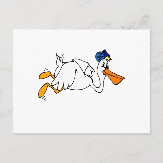 Cartão Postal Steve Stork (Frente)