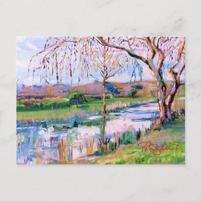 Cartão Postal Steyning West Sussex (Frente)