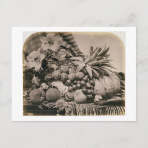 Cartão Postal Still Life with Fruit, 1860 (sepia photo)