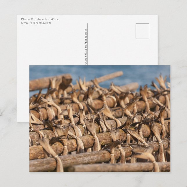 Cartão Postal Stockfish Lofoten (Frente/Verso)