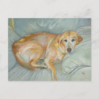 Cartão Postal Stoli Postcard