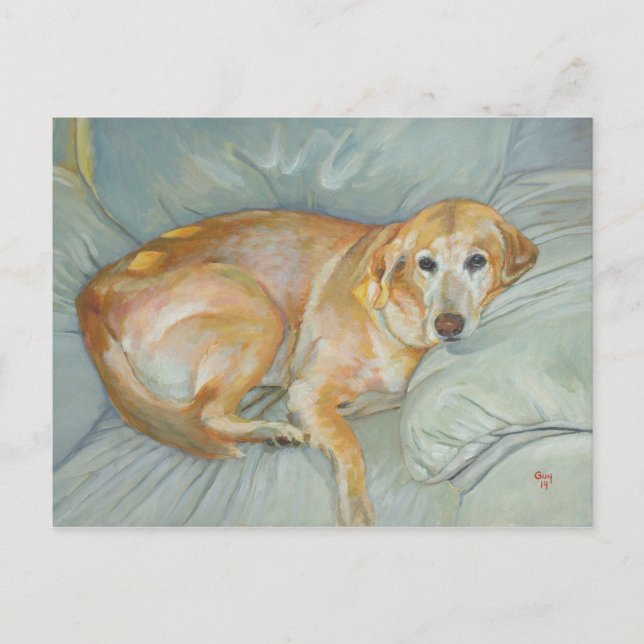 Cartão Postal Stoli Postcard (Frente)