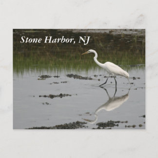 Cartão Postal Stone Harbour Egret