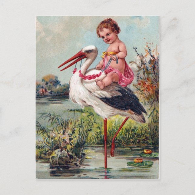 Cartão Postal Stork and Baby From 1909 (Frente)