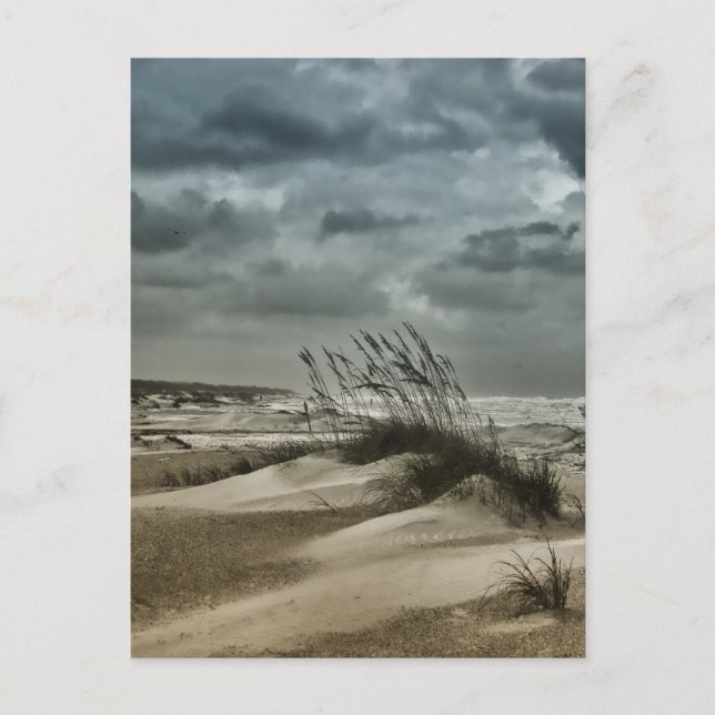 Cartão Postal Stormy Anastasia (Frente)