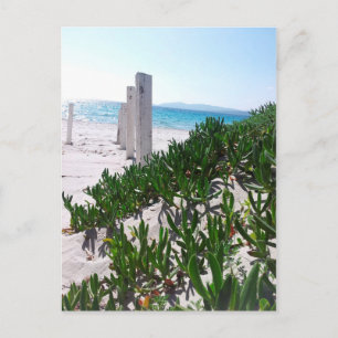 Cartão Postal Strand bei Alghero Sardinien - Postkarte