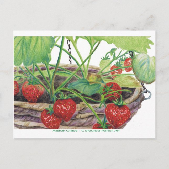 Cartão Postal Strawberry (Frente)