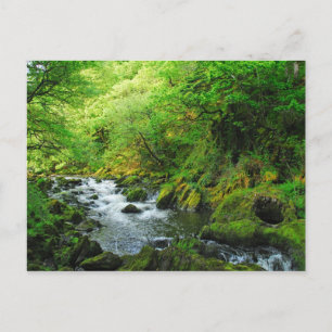 Cartão Postal Stream em Springtime