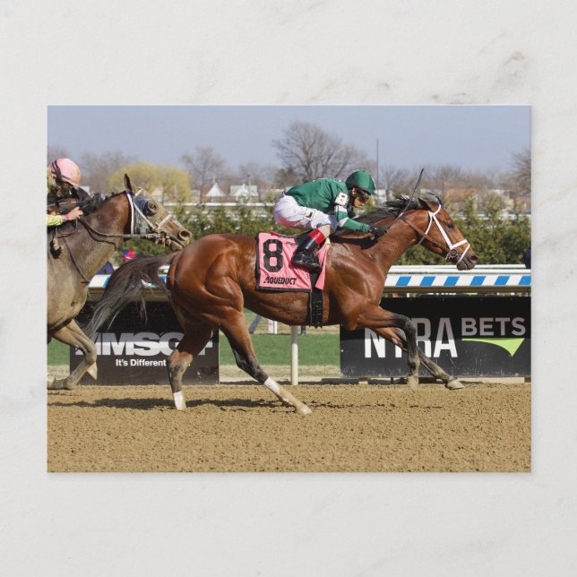 Cartão Postal Stride para Stride (Frente)