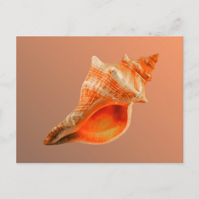 Cartão Postal Stripped Fox (Frente)