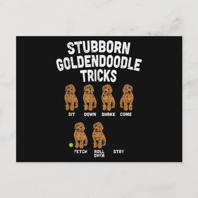 Cartão Postal Stubborn Goldendoodle truques engraçados treinador (Frente)