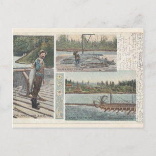 Cartão postal Sturgeon Salmon Wheel
