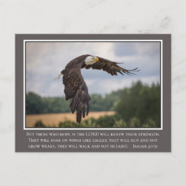 Cartão Postal Sua Coor Asas como Eagles Isaiah 40:31 Bíblia