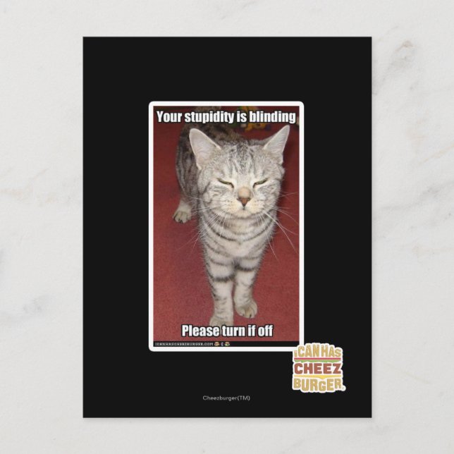 Cartão Postal Sua estupidez está cegando 2 (Frente)