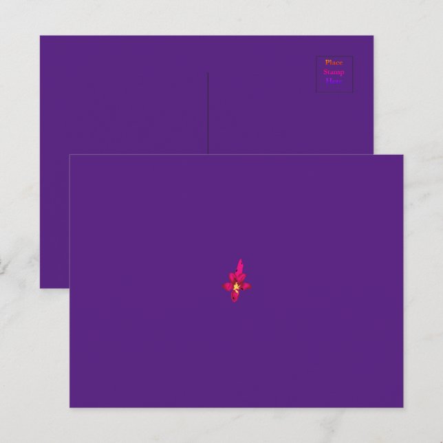 Cartão Postal Sua Férias no Bolso (Frente/Verso)