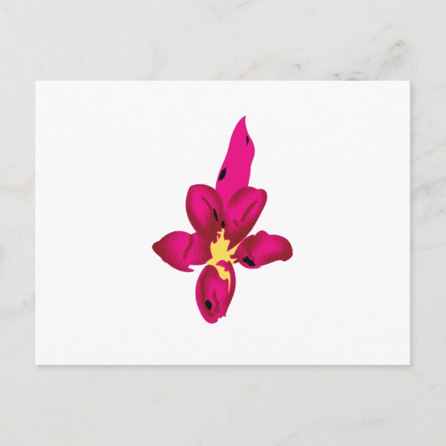 Cartão Postal Sua Férias no Bolso (Frente)