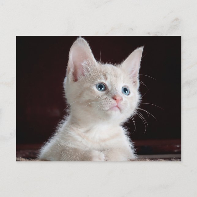 Cartão Postal Sua Foto Personalizada (Frente)