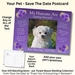 Cartão Postal Sua Foto Pet Salva A Data Das Flores De Mauve Roxo