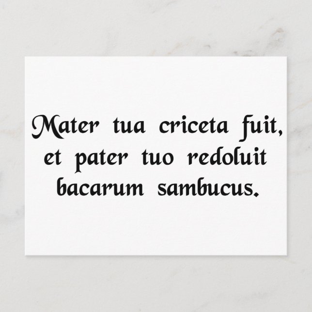 Cartão Postal Sua mãe era um hamster e seu pai... (Frente)