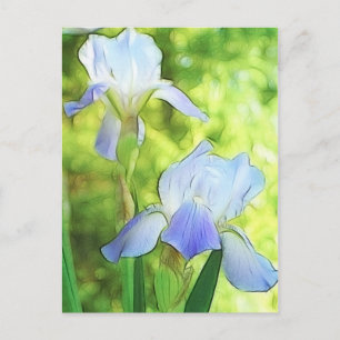 Cartão Postal Subidas Azuis Românticas