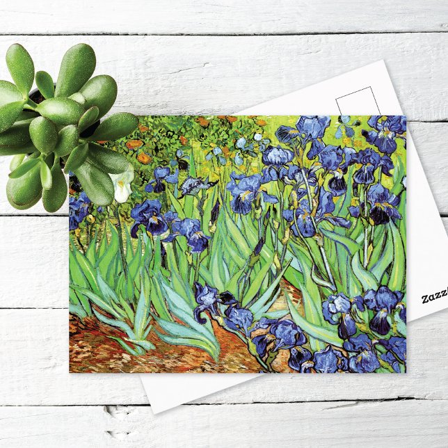 Cartão Postal Subidas no Jardim Vincent van Gogh (Criador carregado)