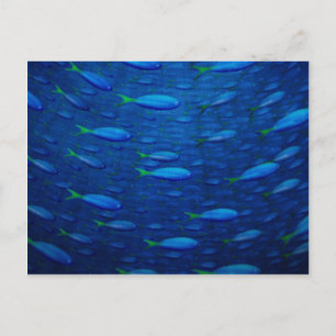 Cartão Postal Submarino 4
