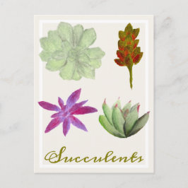 Cartão Postal Succulent Plants Colored Pencil Drawings Postcard