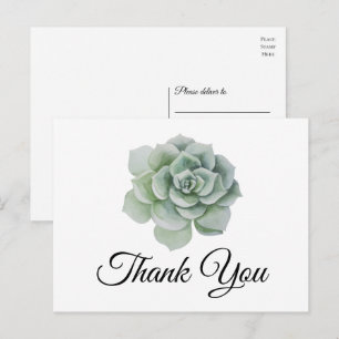 Cartão Postal Suculenta Flor de Noiva Verde Salvia Agradecimento