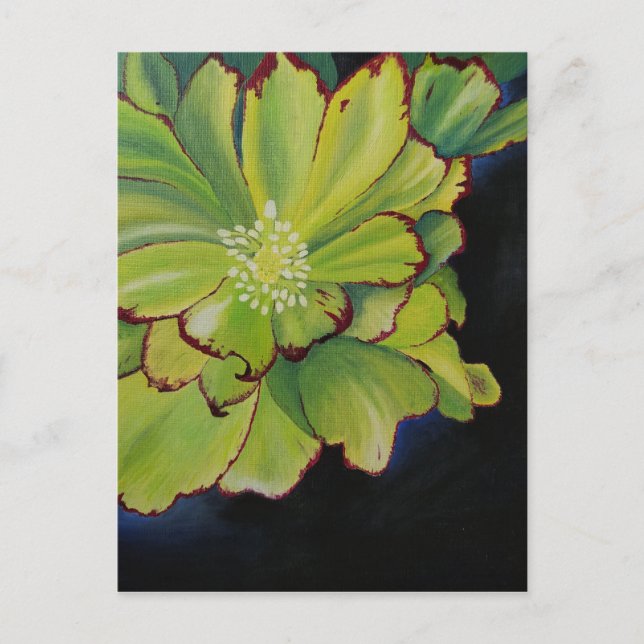 Cartão Postal Suculente (Frente)