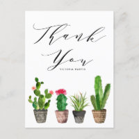 Suculentos Potentes e Graduação de Cactus Obrigado