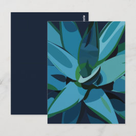 Cartão Postal Sucultivos De Cactus Agave Azul