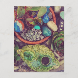 Cartão Postal Sucultivos e Pequenos Objetos de Arte do Jardim