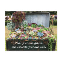 Sucultivos no Treasure Chest