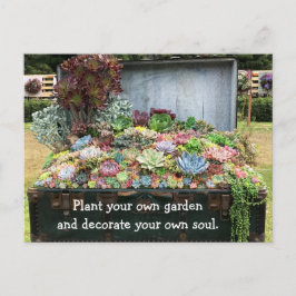 Cartão Postal Sucultivos no Treasure Chest