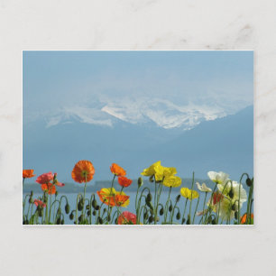 Cartão Postal suiça-16800