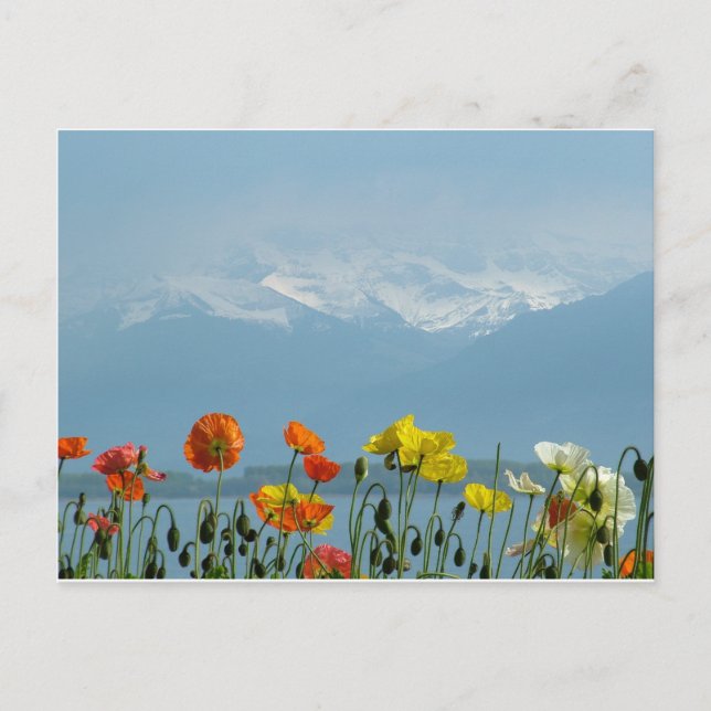 Cartão Postal suiça-16800 (Frente)