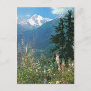 Cartão Postal Suiça, região de Jungfrau em primavera