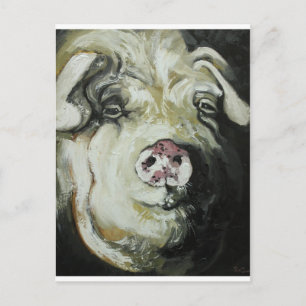 Cartão Postal Suíno nº 7