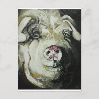 Cartão Postal Suíno nº 7