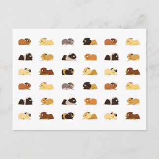 Cartão Postal Suínos