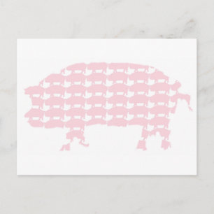 Cartão Postal Suínos