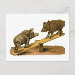 Cartão Postal Suínos bumbuns